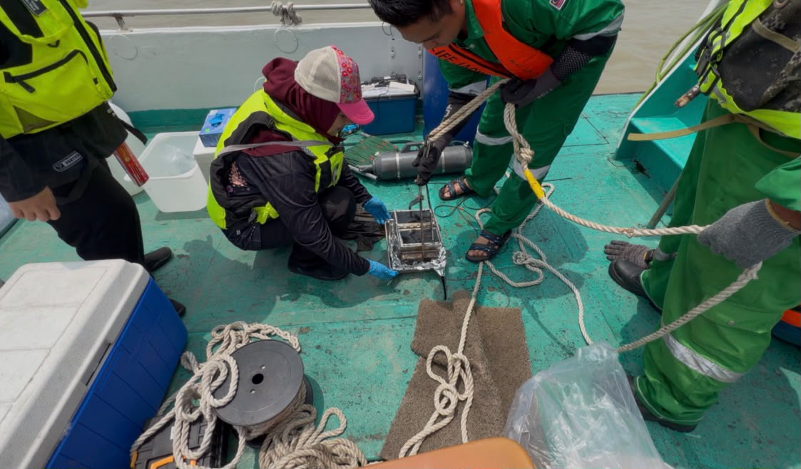 Marine disaster protection project image 3